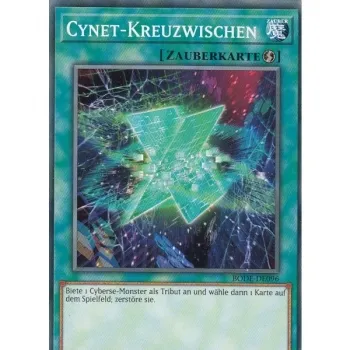 Cynet-Kreuzwischen