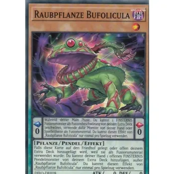 Raubpflanze Bufolicula