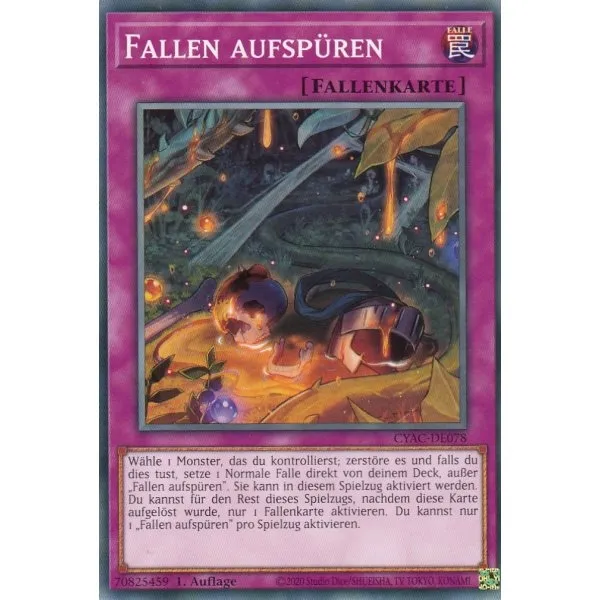 Fallen aufspüren - CYAC-DE078